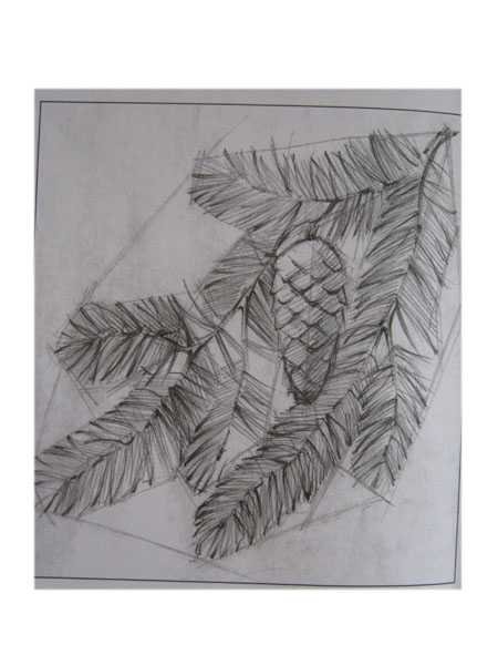 Рисование еловой ветки