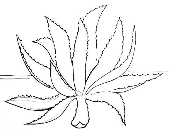 Цветок в горшке карандашом