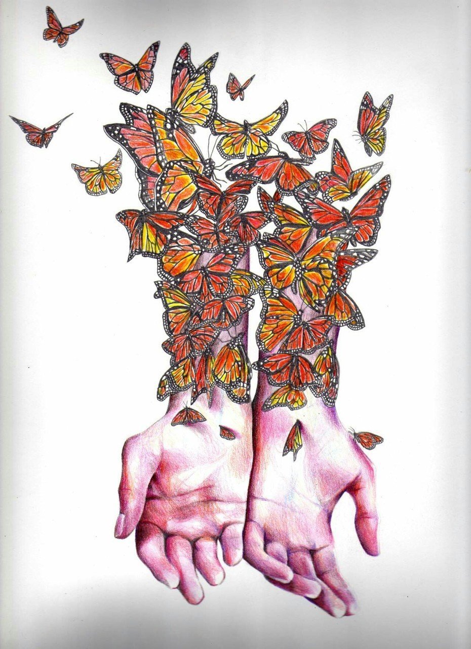 Красивые картины рук. Необычные рисунки. Картина бабочки в животе. Бабочки внутри. Ладонь арт.