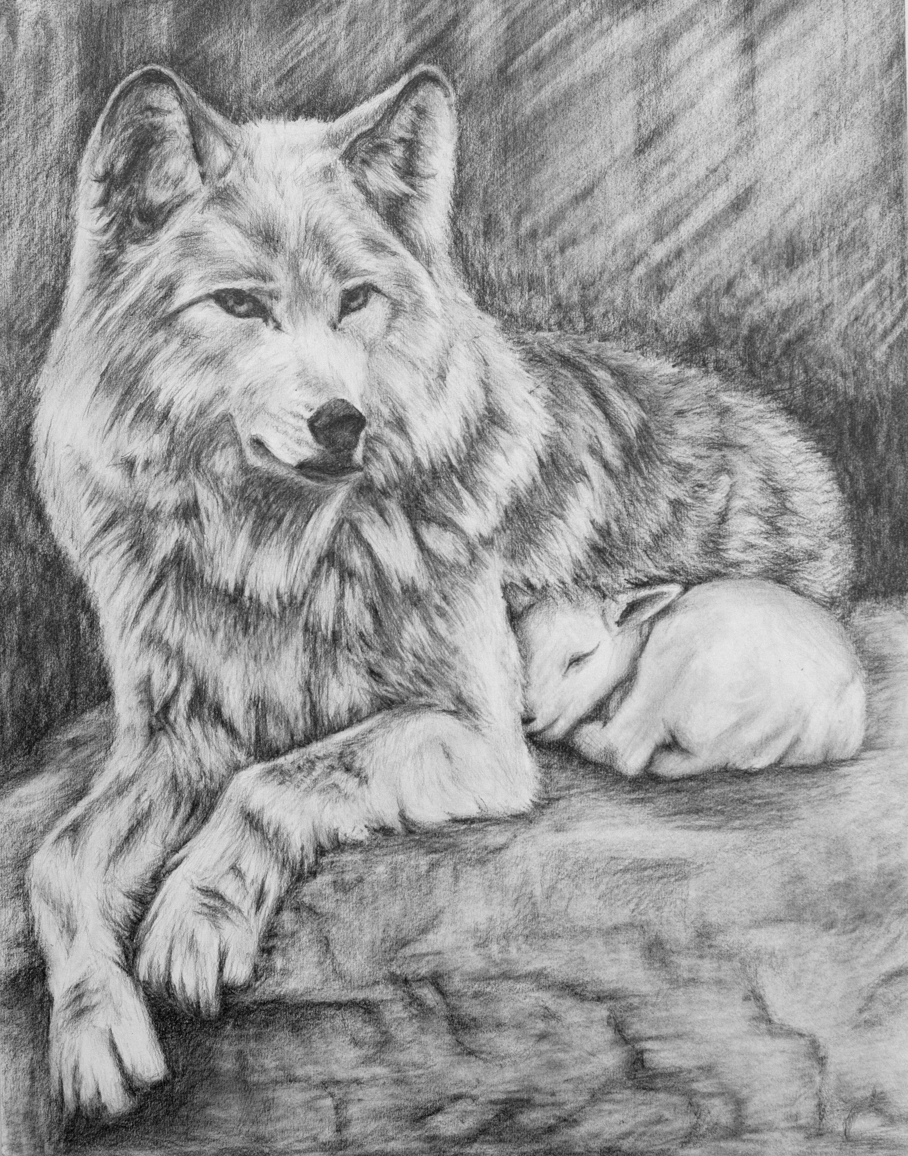 Нарисовать волка