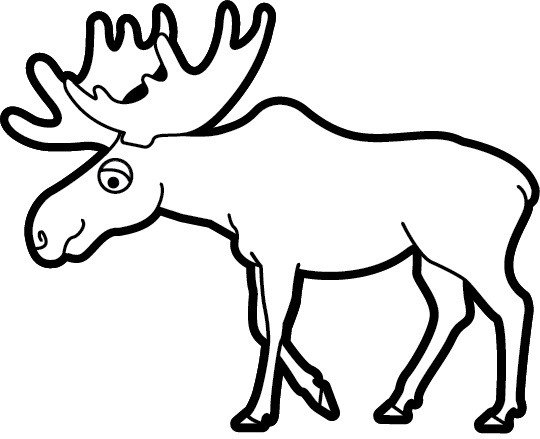 Раскраска Лось для детей 4-5 лет