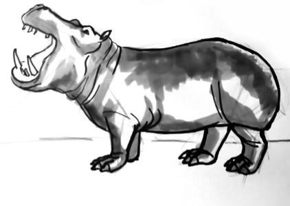Бегемот рисунок реалистичный