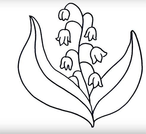 Ландыш рисунок карандашом