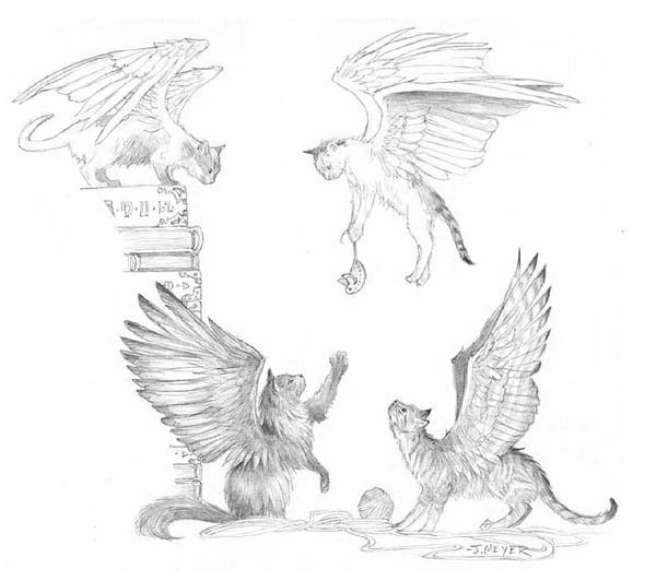 Кошка с крыльями референс