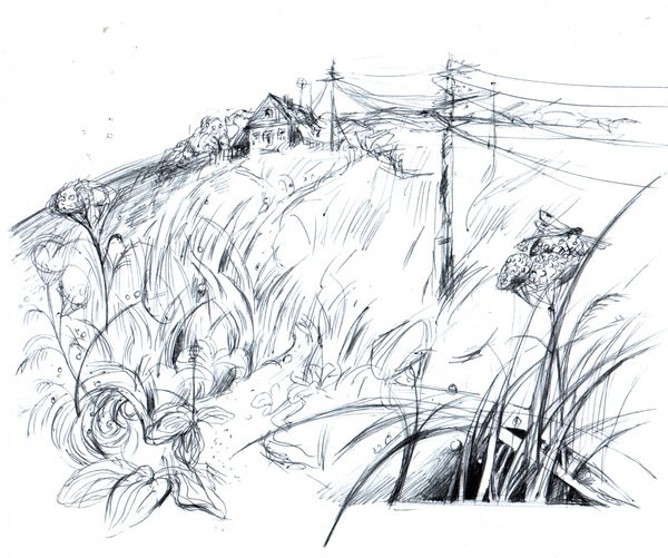 Колосья на поле силуэт