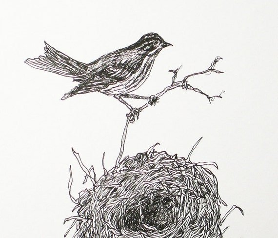 Птица в гнезде Графика
