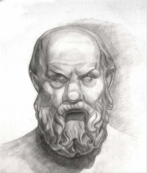 Сократ рисунок гипсовой головы