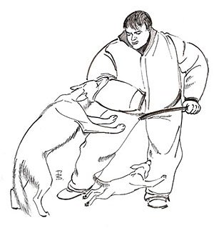 Кинолог рисунок