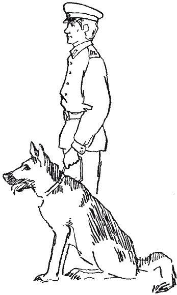 Раскраска Военная собака