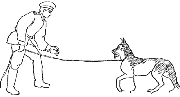 Кинолог рисунок