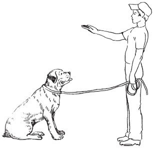 Раскраска пограничник