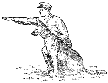 «Пограничник с собакой» т.с. Комарова