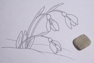 Пошаговое рисование подснежника