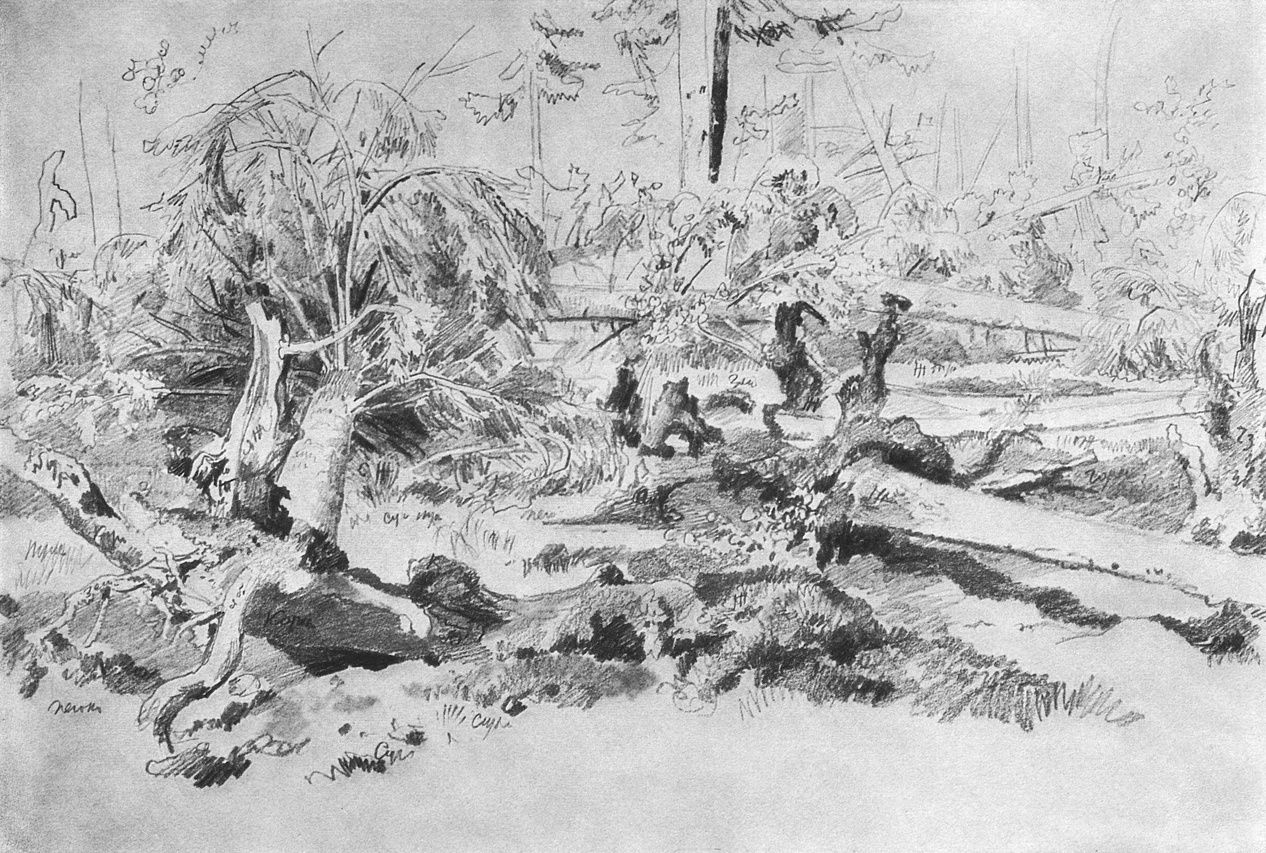 Шишкин упавшее дерево 1878