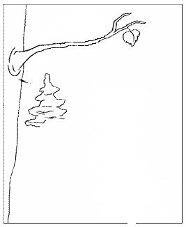 Раскраска басни Крылова ворона и лисица