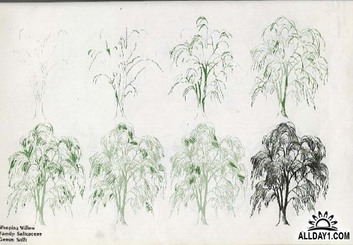 Кусты для рисования