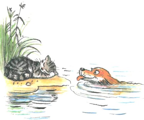 Кошкин щенок Берестов