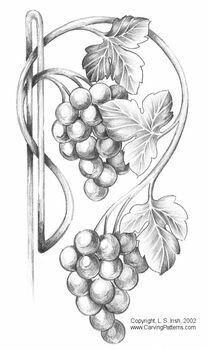 Виноград карандашом