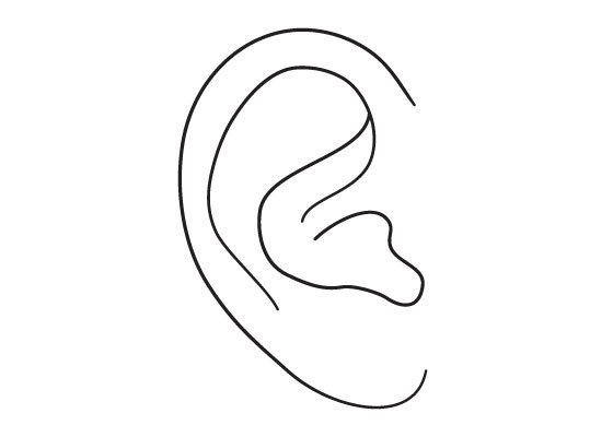 Поэтапное рисование ушей