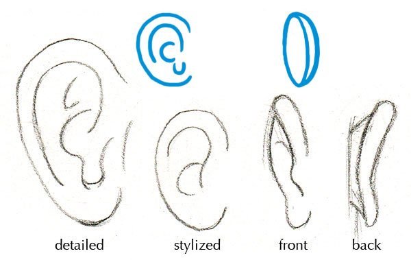 Ухо рисунок карандашом для детей (48 фото)