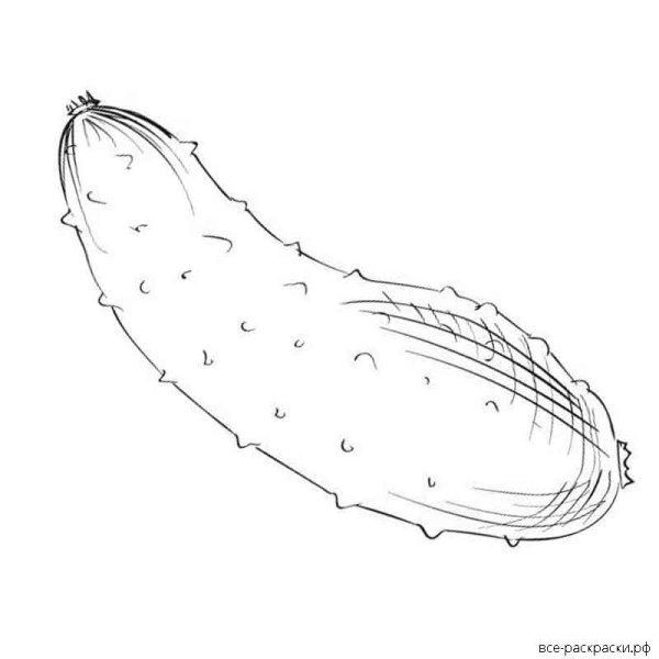 Раскраски по рассказу Носова огурцы