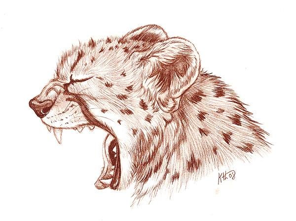 Рисунки гепарда для срисовки