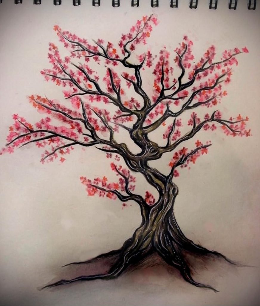 Как нарисовать дерево сакуры. Тату эскиз Сакура дерево. Сакура рисунок. Японское дерево рисунок. Сакура дерево нарисованное.