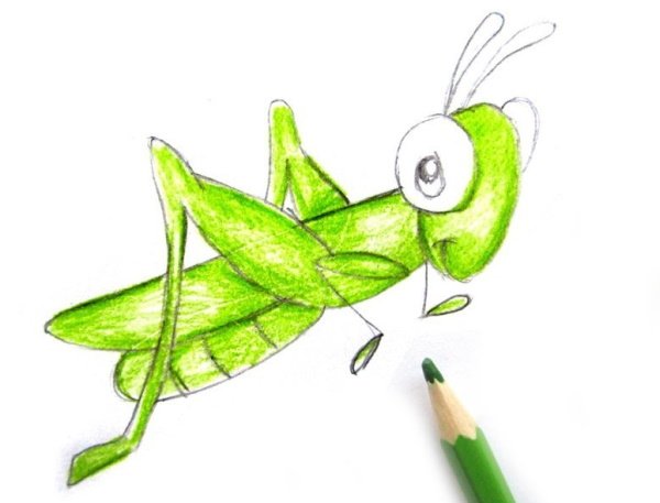 Кузнечик рисунок для детей карандашом