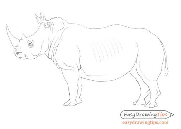 Носорог скетч