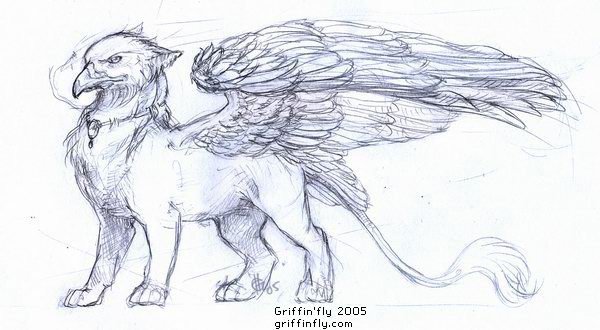 Грифон рисунок для срисовки