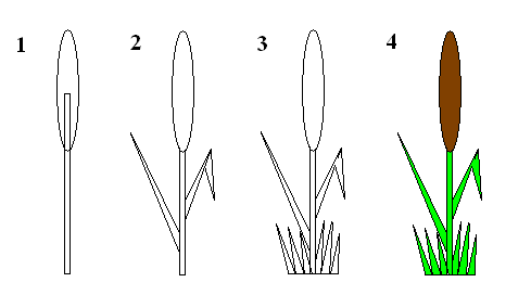 Раскраска озеро с кувшинками