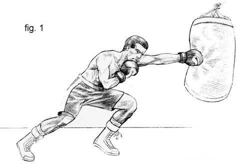 Раскраска боксер