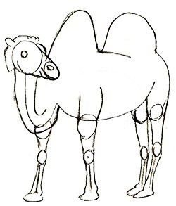 Рисунок верблюд карандашом для детей (44 фото)