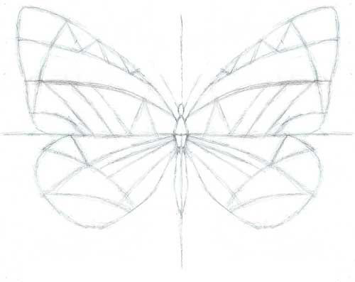 Симметрия рисунок карандашом (42 фото)