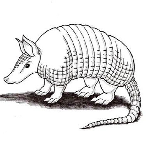 Броненосец раскраска