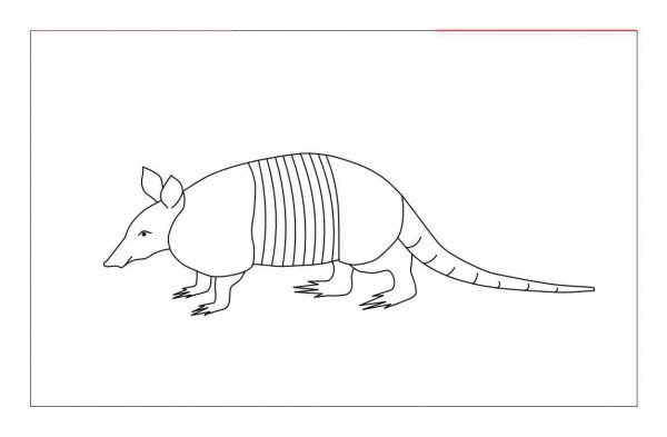 Броненосец схематичное изображение