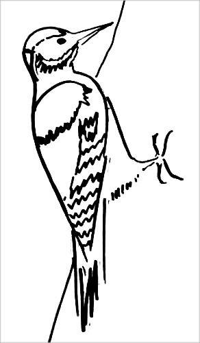 Дятел на ветке раскраска