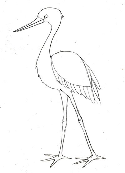 Черный Аист рисунок