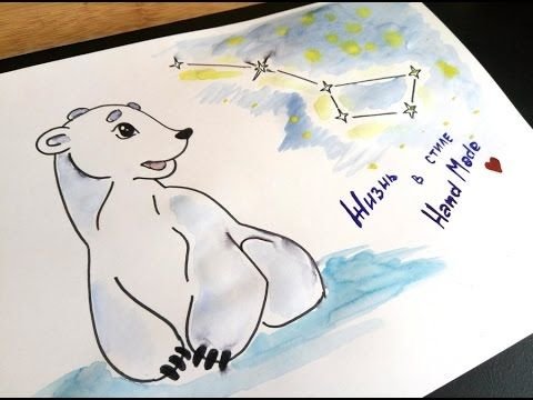 Белый медведь раскраска