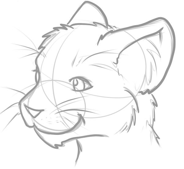 Легкие рисунки фото