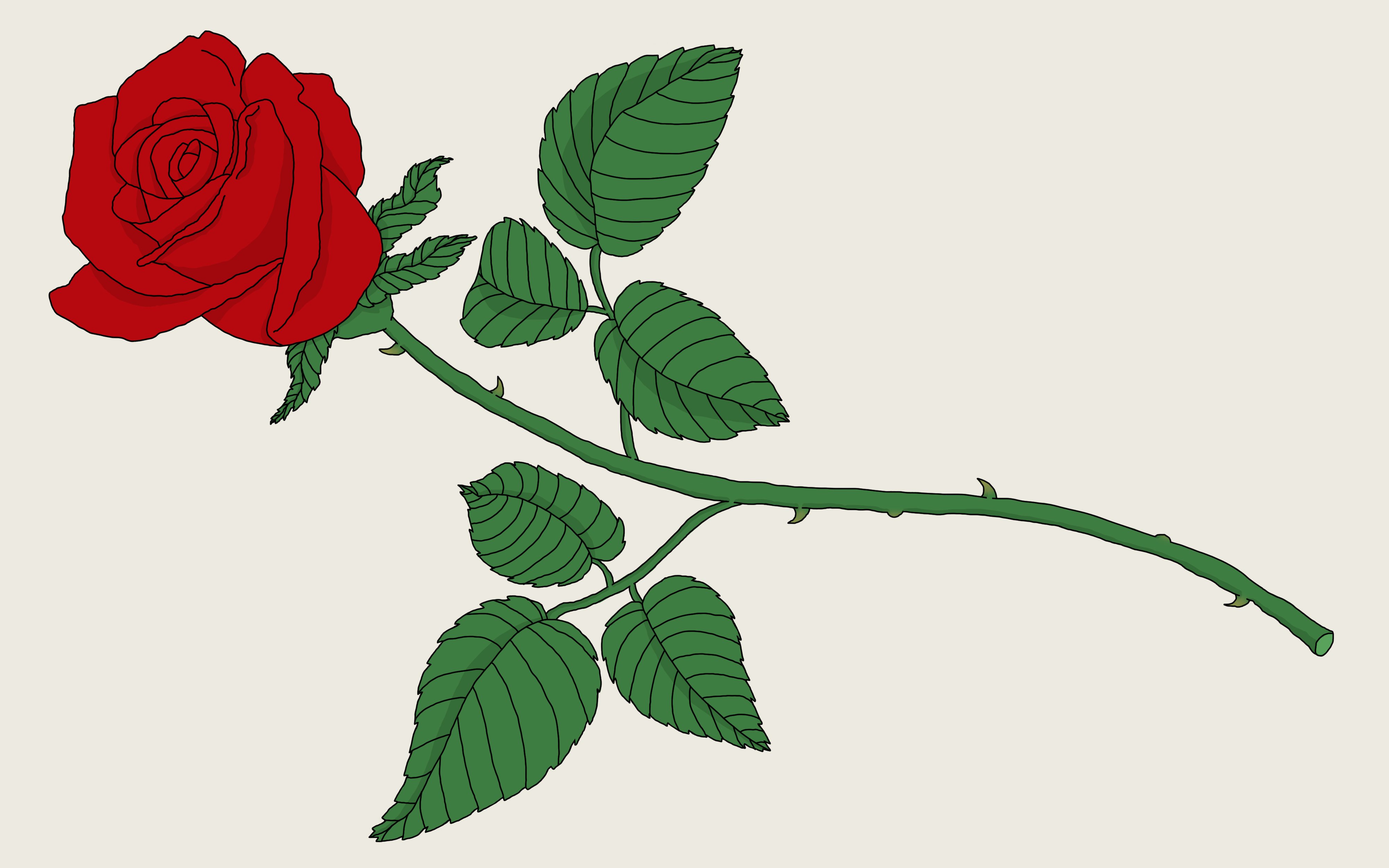 Нарисовать ветку розы