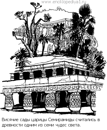 Висячие сады Семирамиды в Вавилоне рисунки