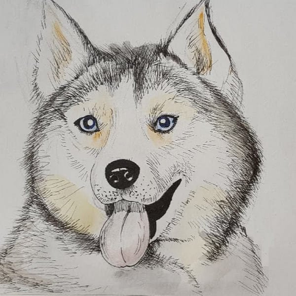 Лёгкие рисунки из лайка