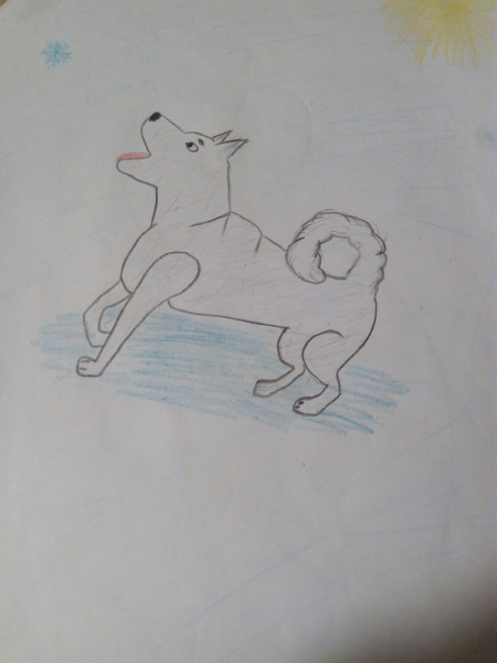 Лайка детский рисунок