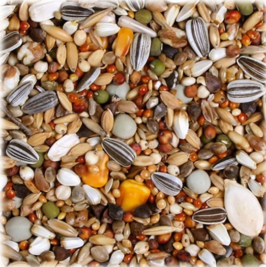 Корм для птиц зерносмесь