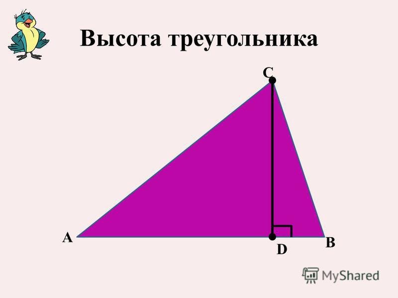 Что такое высота треугольника. Высота треугольника. Высота треугольника рисунок. Как называется высота треугольника. Высота треугольника чертеж.