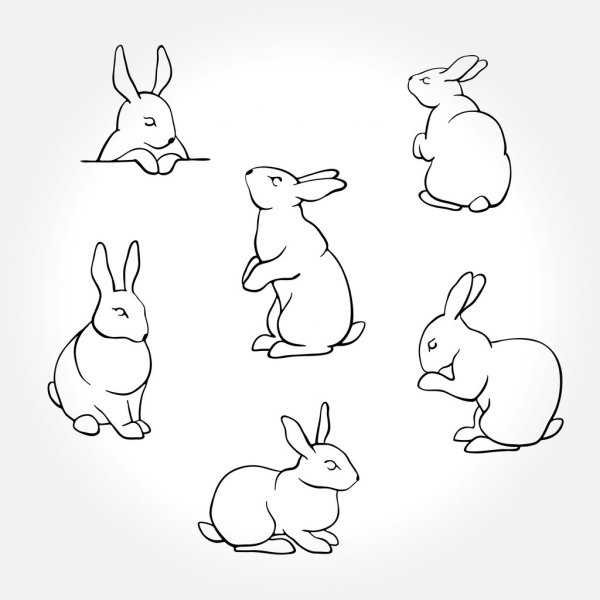 Кролик схематично