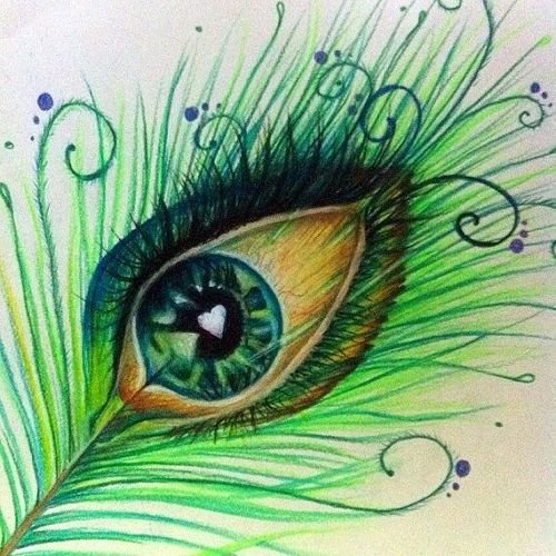 Перо павлина рисунок