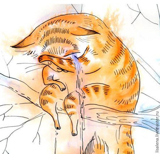 Кот плачет