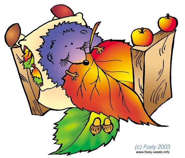 Открытки Ежик спит